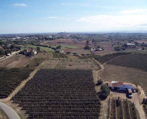Vista de l'Horta de Lleida.